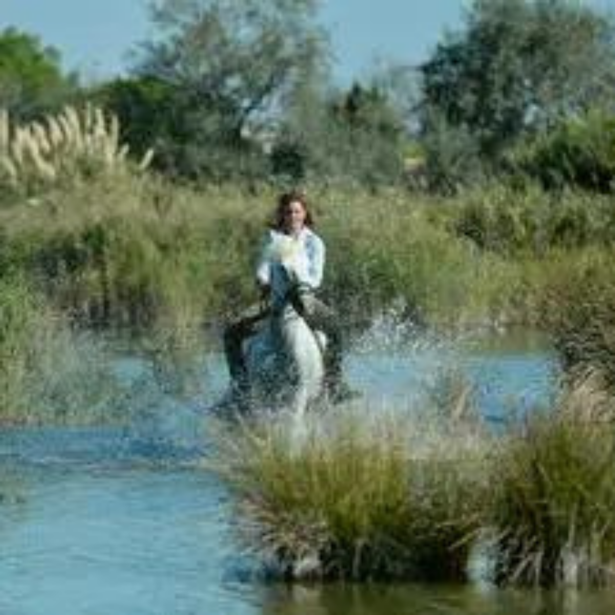 Séjour en hôtel de charme et balade à cheval en Camargue