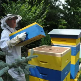 Réalisez votre ruche en duo à Lyon