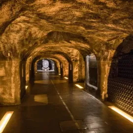 Sélection d'expériences viticoles en couple - Visite des caves de Moët & Chandon